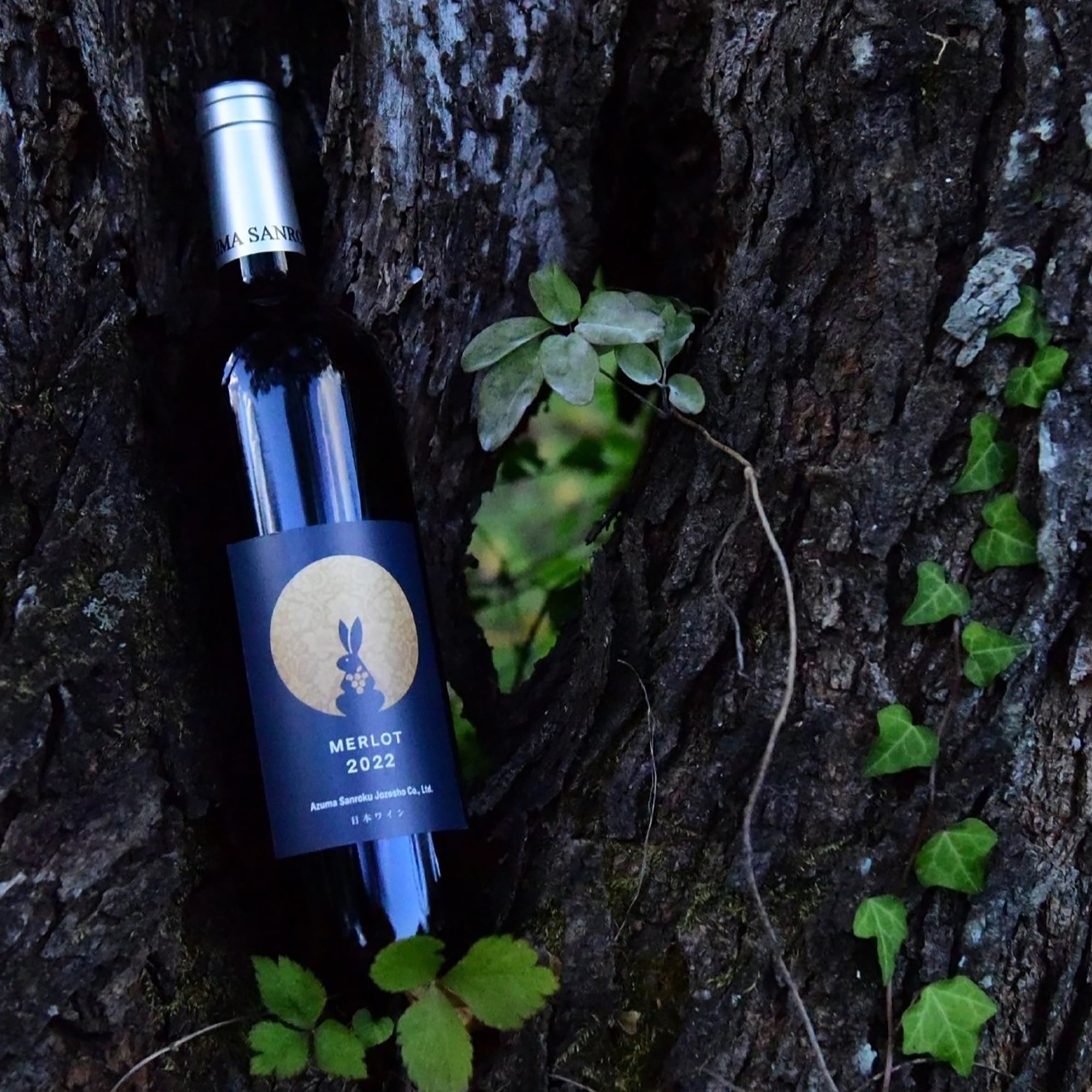 福島県 WINERY AZUMA SANROKU メルロ2022 750ml | 無印良品