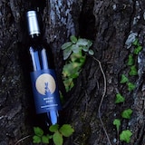福島県　WINERY AZUMA SANROKU　メルロ２０２２　７５０ｍｌ
