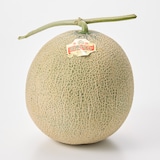 北海道産　北海道日原のメロン「日原メロン キング種」 約２ｋｇ