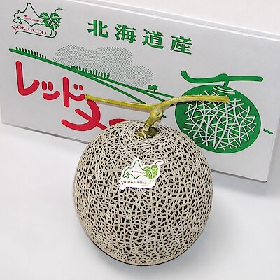 北海道産　北海道日原のメロン「日原メロン レッド種」 約２ｋｇ