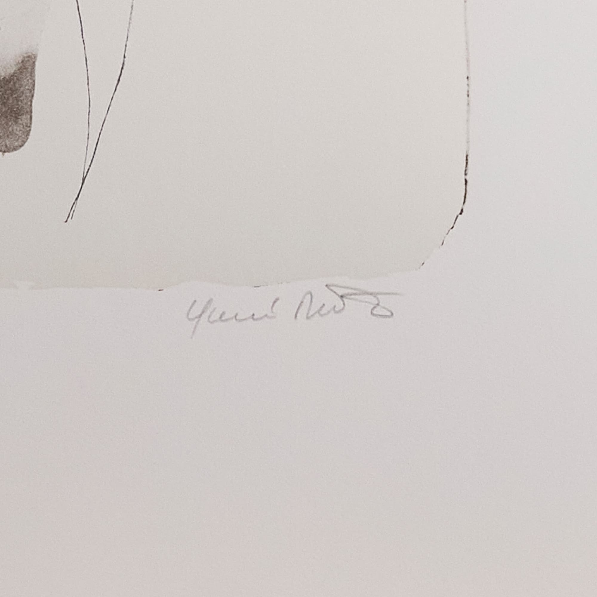 堂本印象　「かがやく花」　リトグラフ　限定300部　NO.254 堂本四郎監修 堂本印象 「かがやく花」 リトグラフ 限定300部 NO.254 堂本四郎