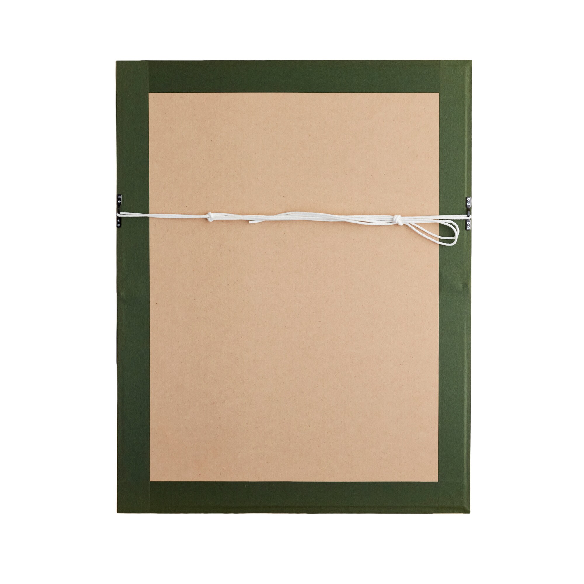 堂本印象　「かがやく花」　リトグラフ　限定300部　NO.254 堂本四郎監修 堂本印象 「かがやく花」 リトグラフ 限定300部 NO.254 堂本四郎