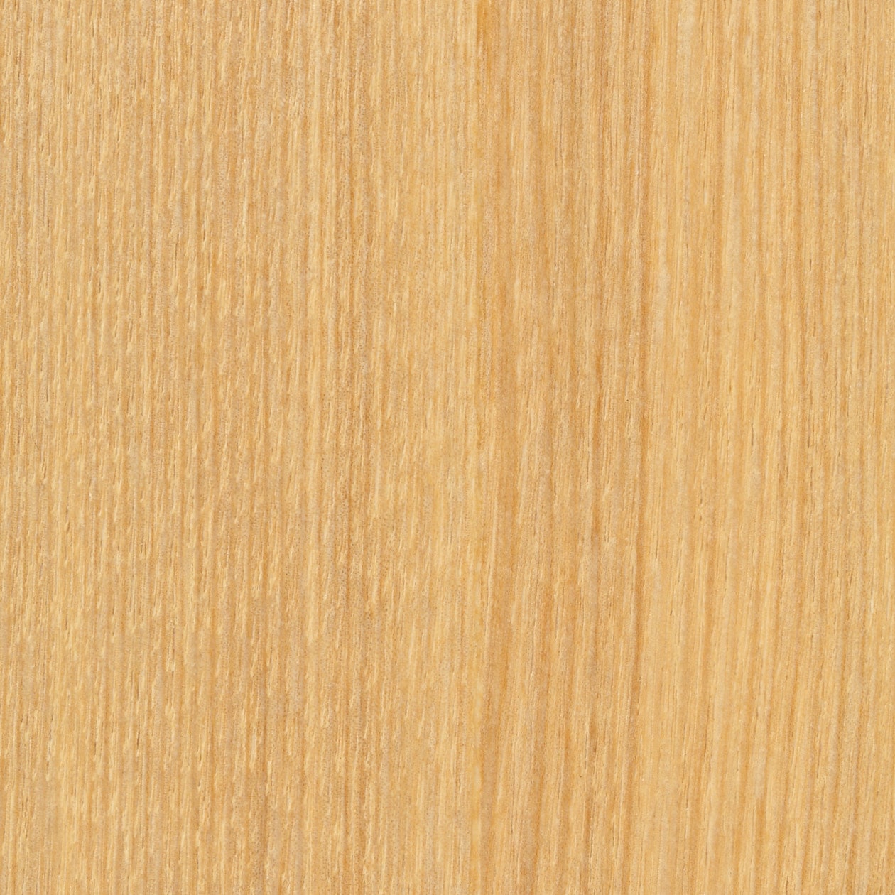 組み合わせて使える木製収納用扉スリム（ガラス／木）・ミドルタイプ用