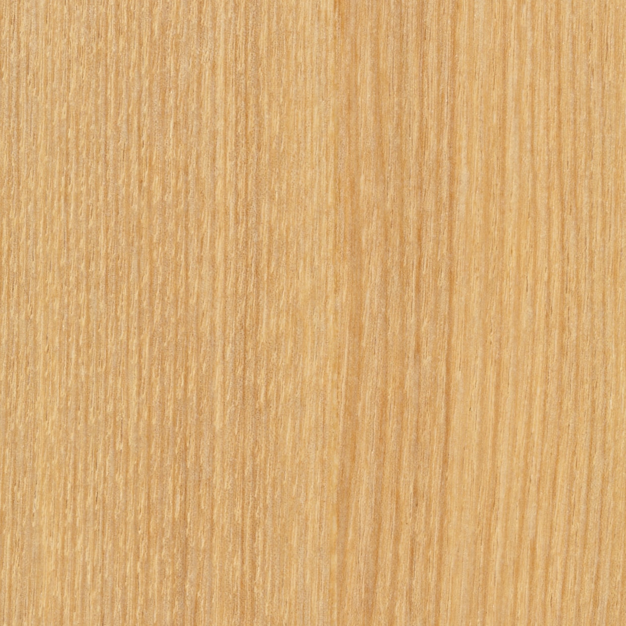 組み合わせて使える木製収納・本体・ハイタイプ・スリム・奥行２１ｃｍ・タモ材／Ｎ