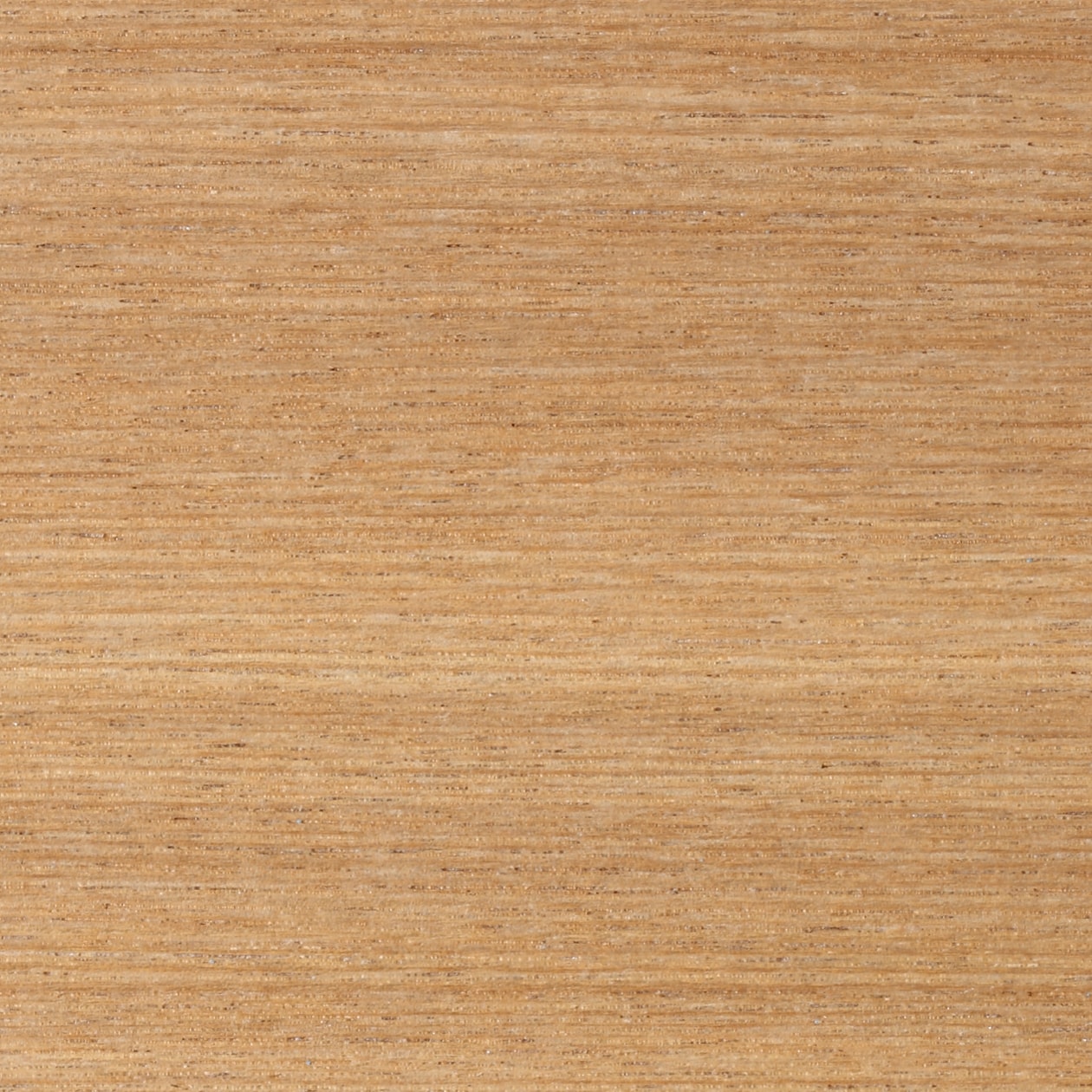 組み合わせて使える木製収納・本体・ミドルタイプ・奥行１４ｃｍ・タモ材／ナチュラル