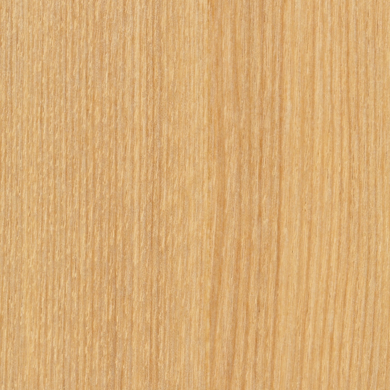 組み合わせて使える木製収納・本体・ミドルタイプ・スリム・奥行２１ｃｍ・タモ材／Ｎ