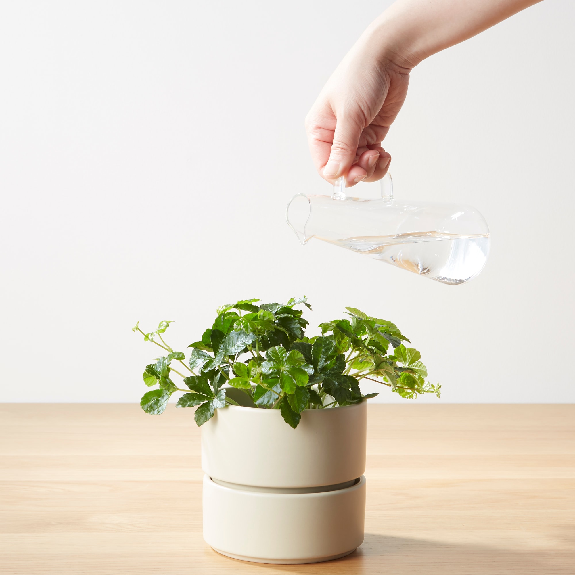 ガラス器　ピッチャー型