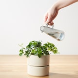 ガラス器　ピッチャー型