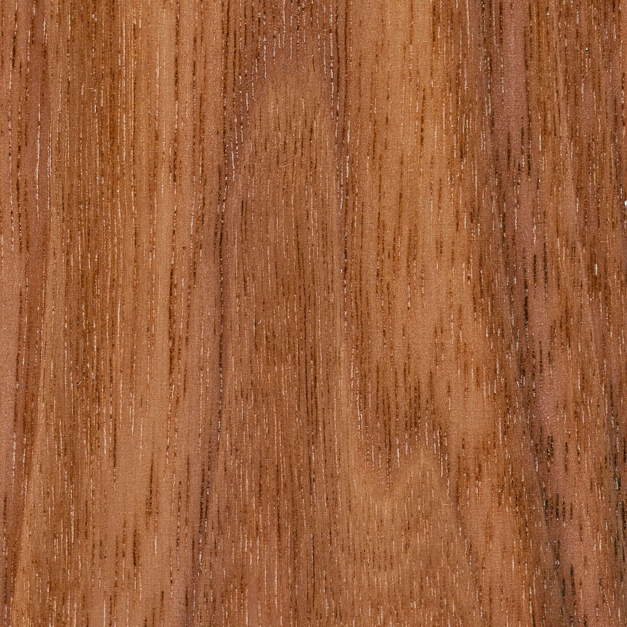 スチールユニットシェルフ用　ボックス　引出し２段　ウォールナット材突板