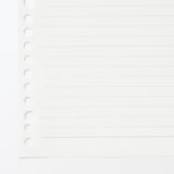 植林木ペーパールーズリーフ／裏うつりしにくいルーズリーフ