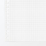 植林木ペーパールーズリーフ／裏うつりしにくいルーズリーフ