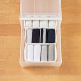 【宅送】ＰＰクローゼットケース引出式・深