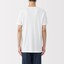 紳士　さらっと綿　クルーネック半袖Ｔシャツ