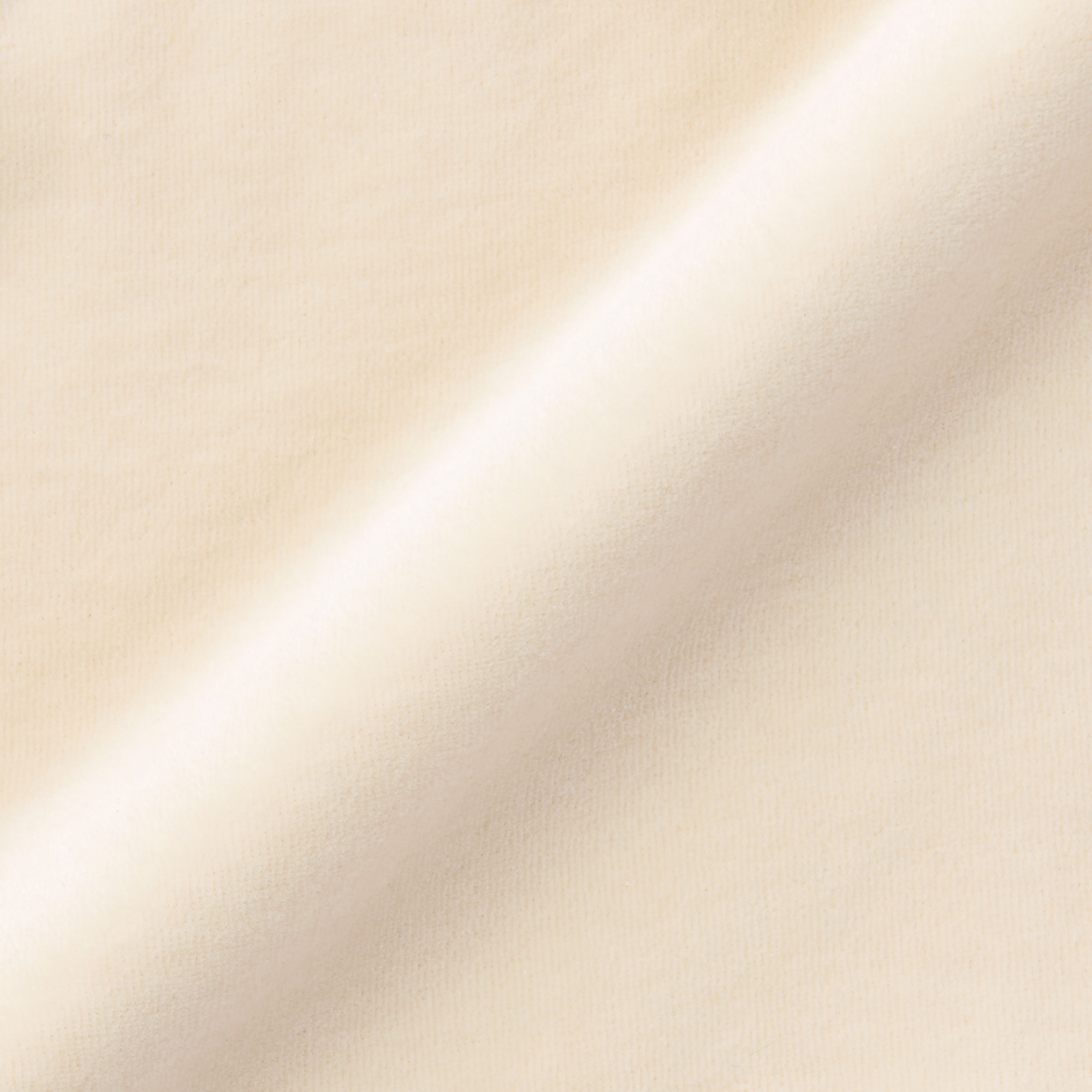 婦人　コットンベロア婦人トランクス