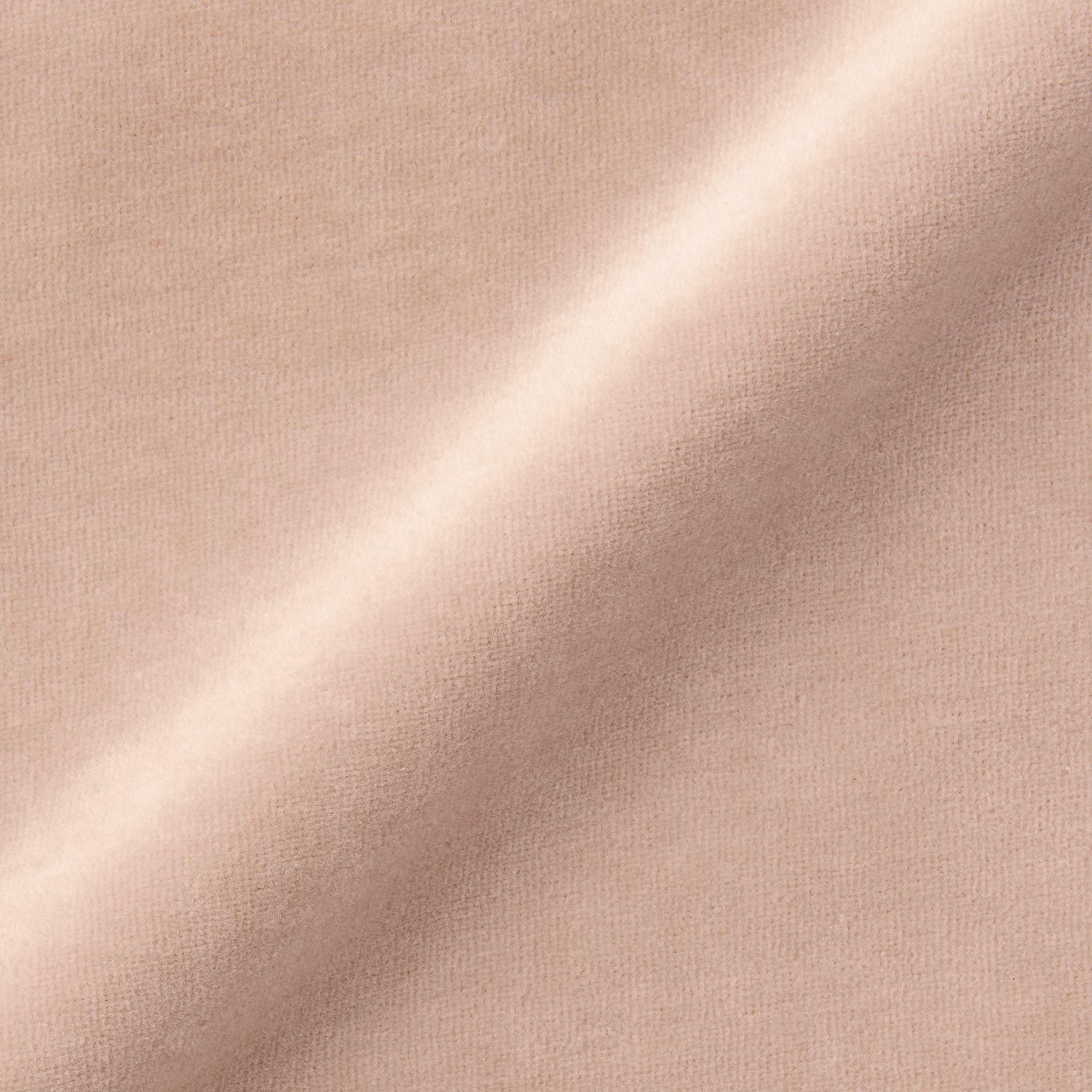 婦人　コットンベロア婦人トランクス