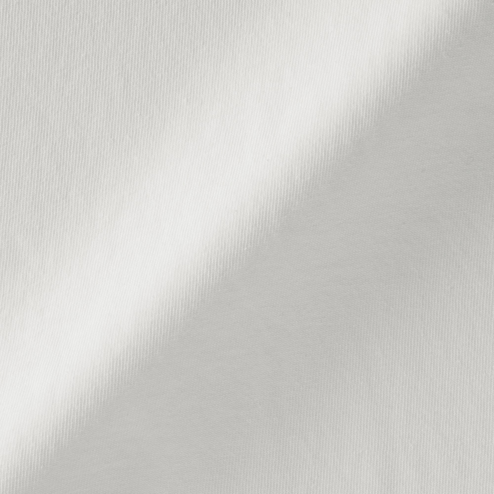 婦人　引き揃え天竺編みクルーネック長袖Ｔシャツ