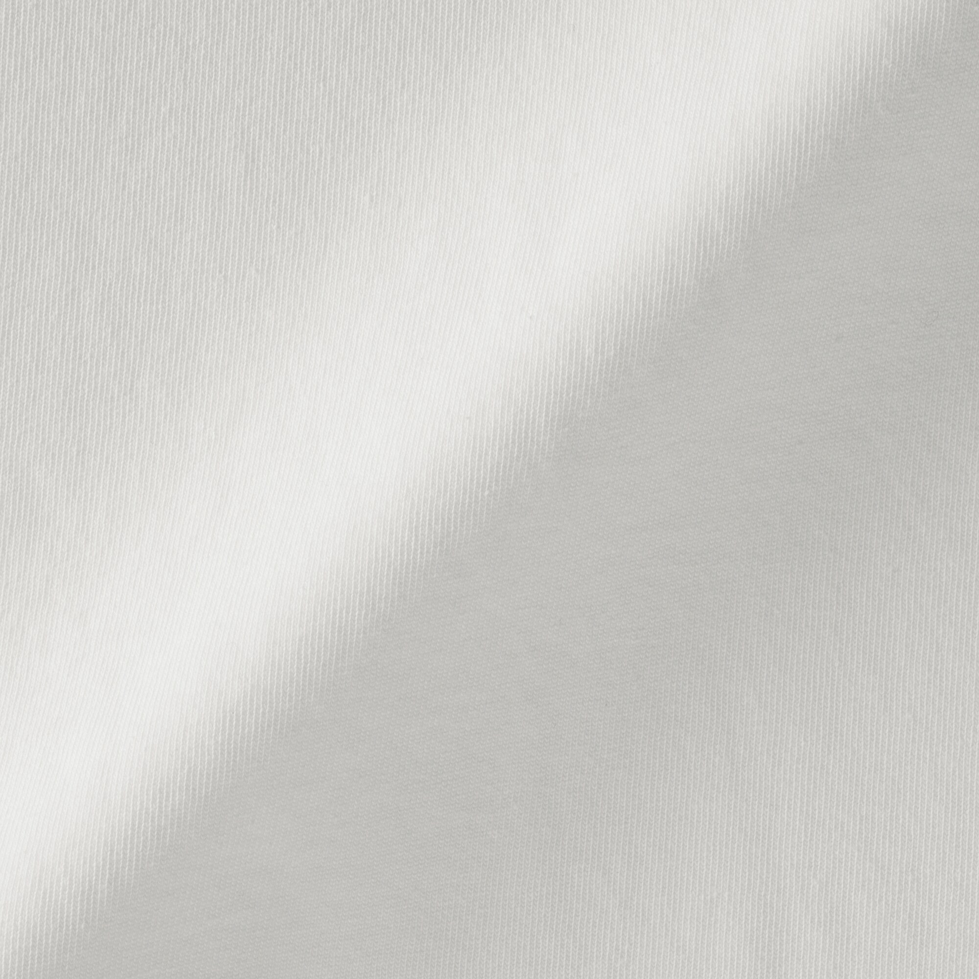 婦人　引き揃え天竺編みクルーネック長袖Ｔシャツ