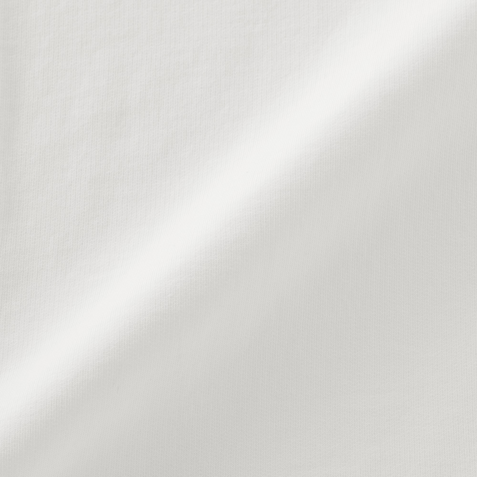 婦人　ライトスウェットクルーネック半袖Ｔシャツ