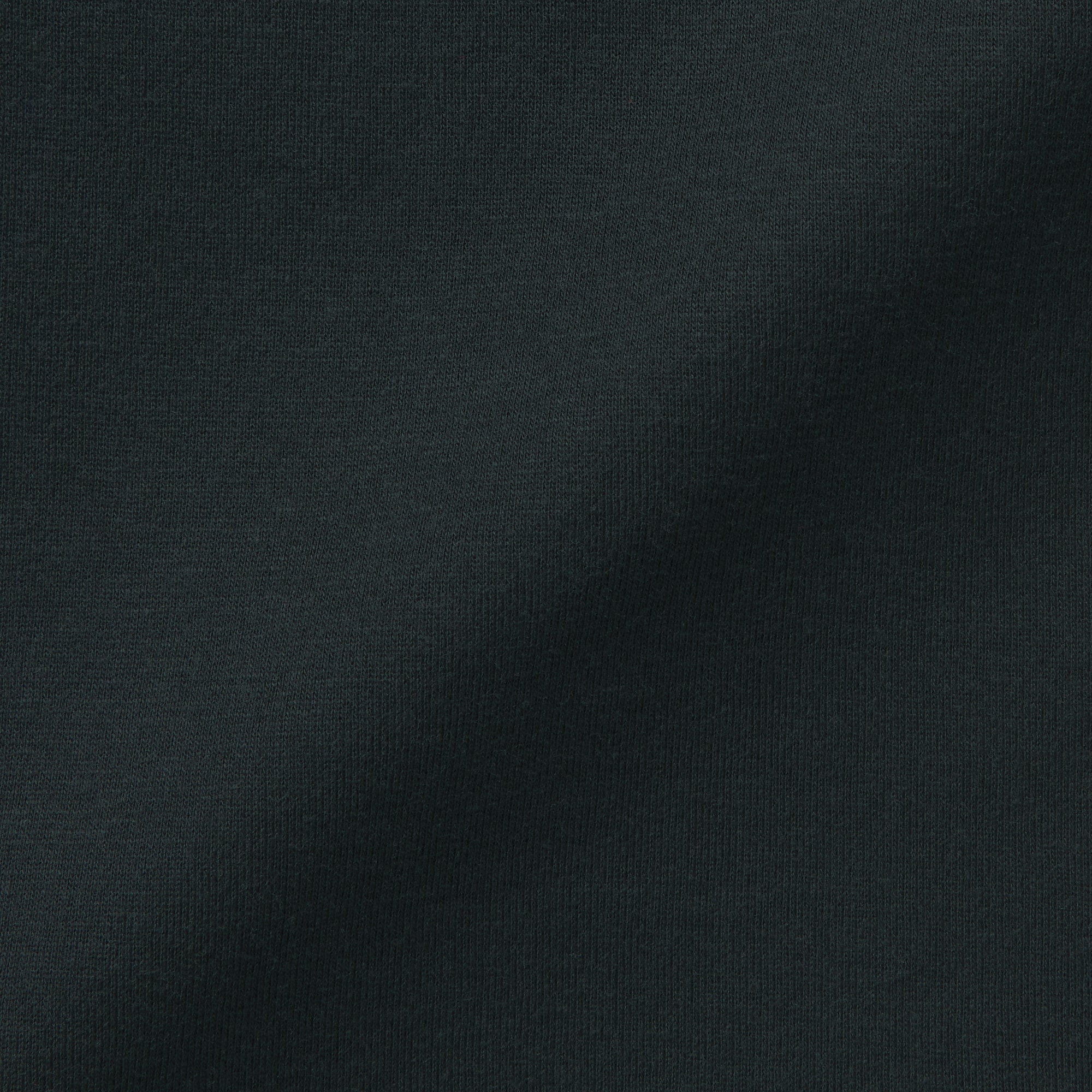 婦人　あったか綿　半袖Ｔシャツ