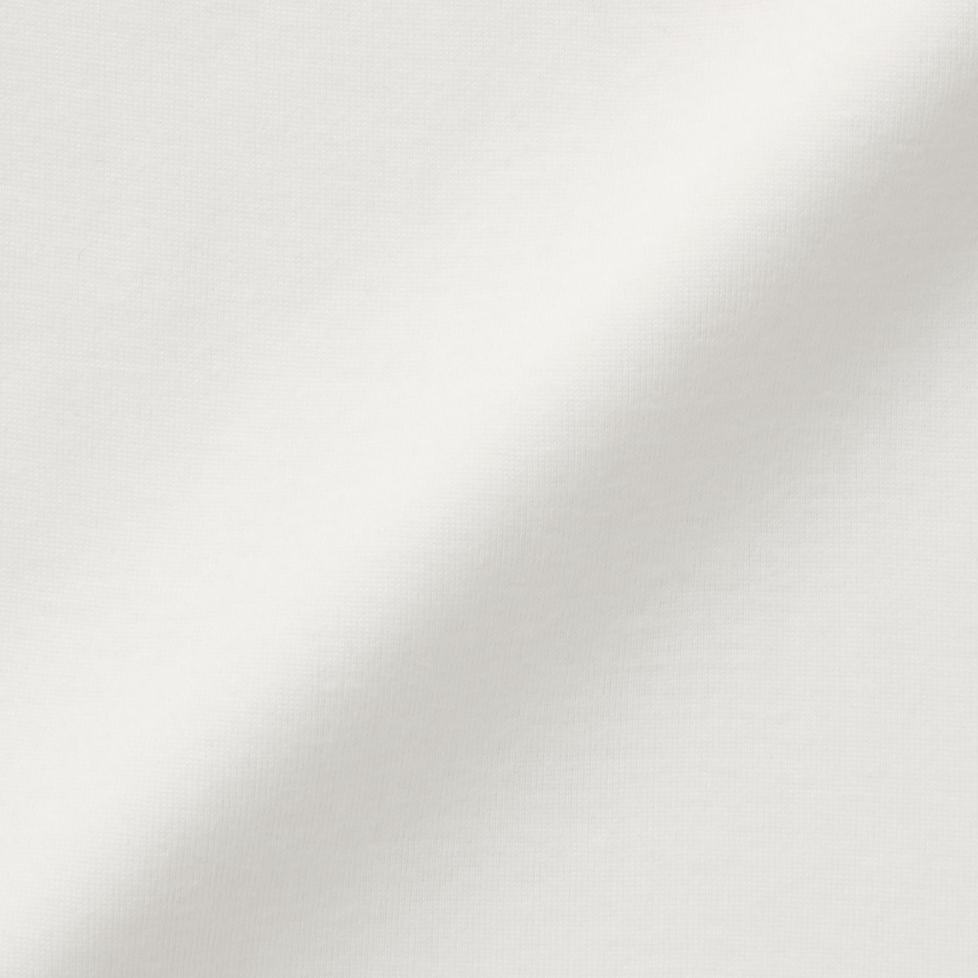 婦人　あったか綿　ハイネック長袖Ｔシャツ