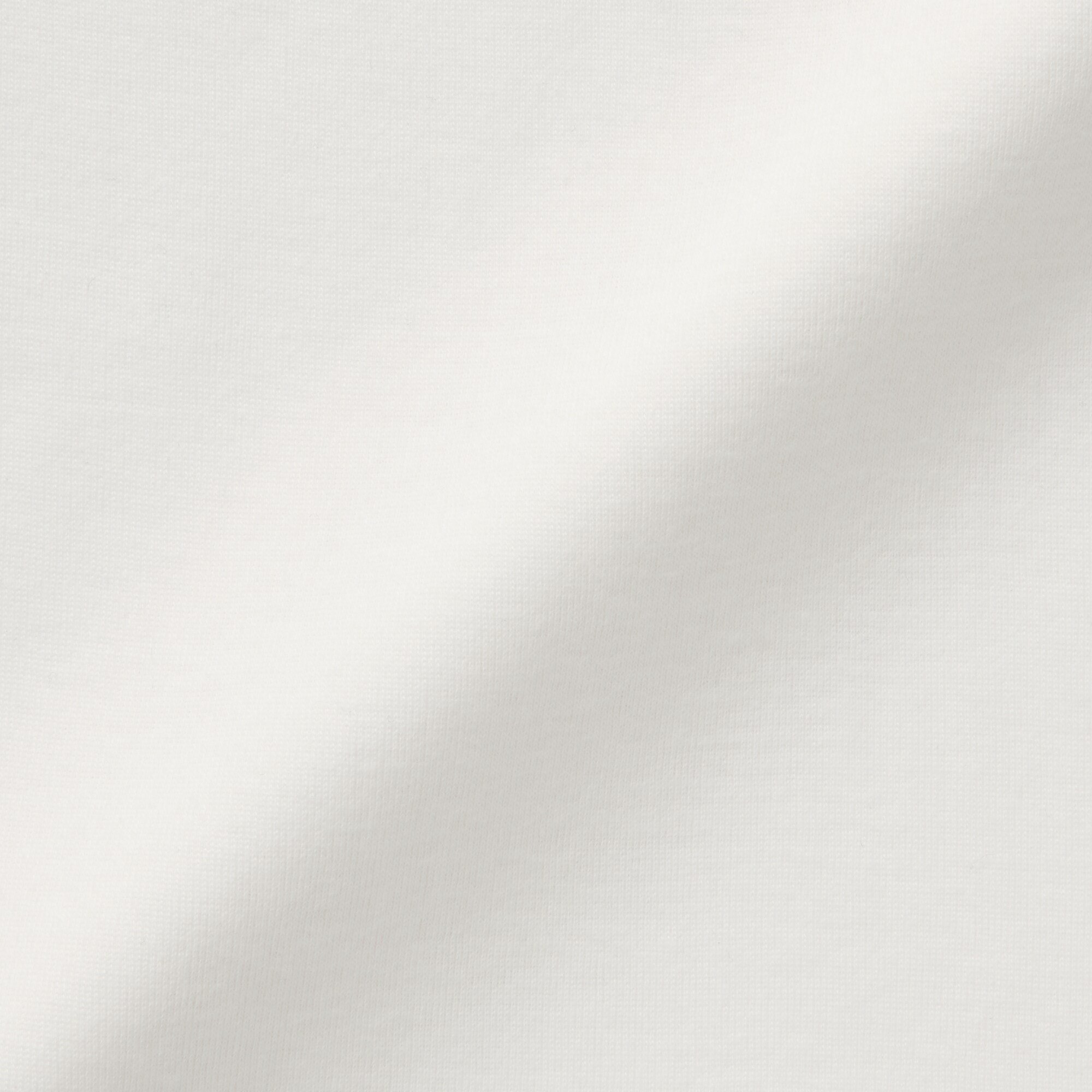 婦人　あったか綿　ハイネック長袖Ｔシャツ