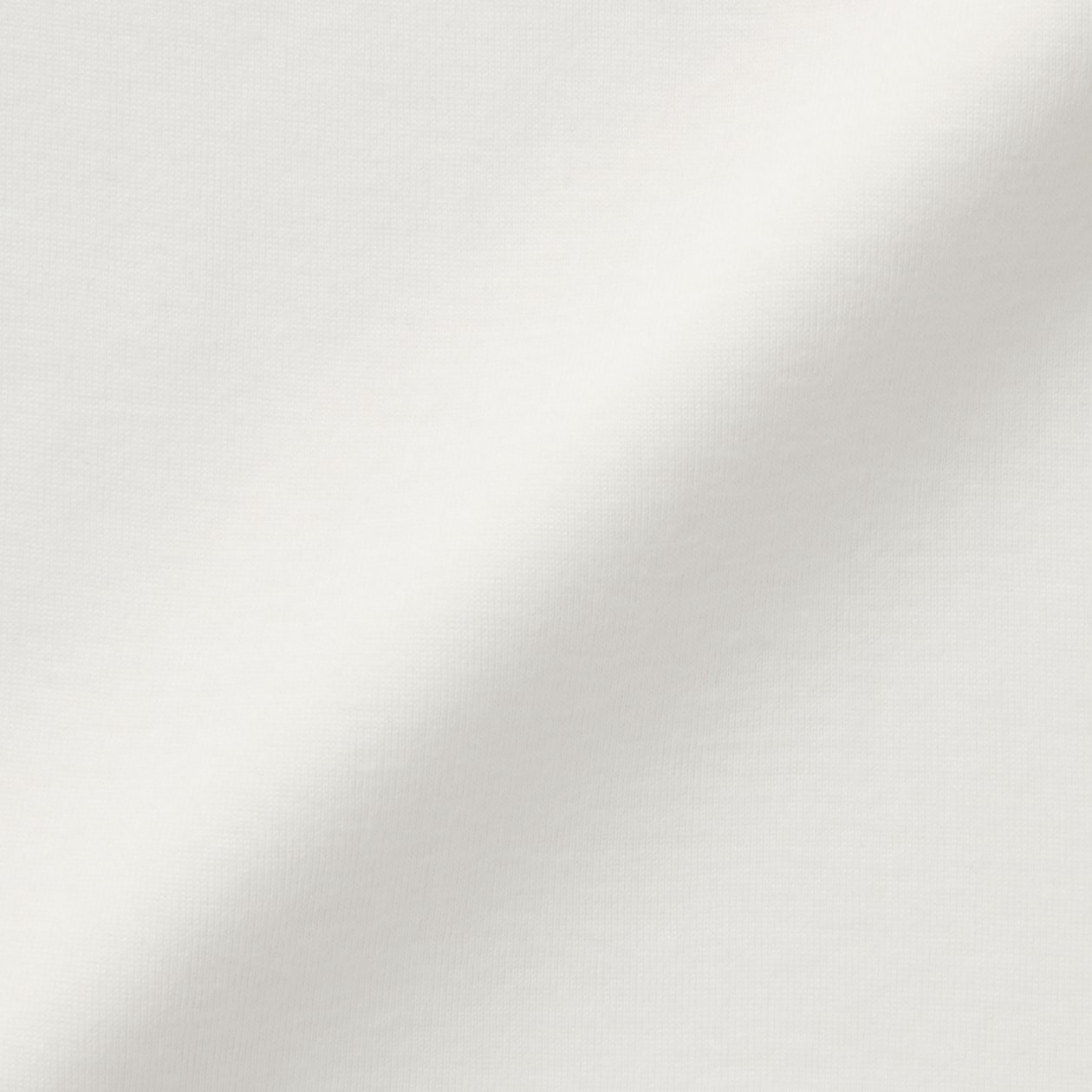 婦人　あったか綿　ハイネック長袖Ｔシャツ