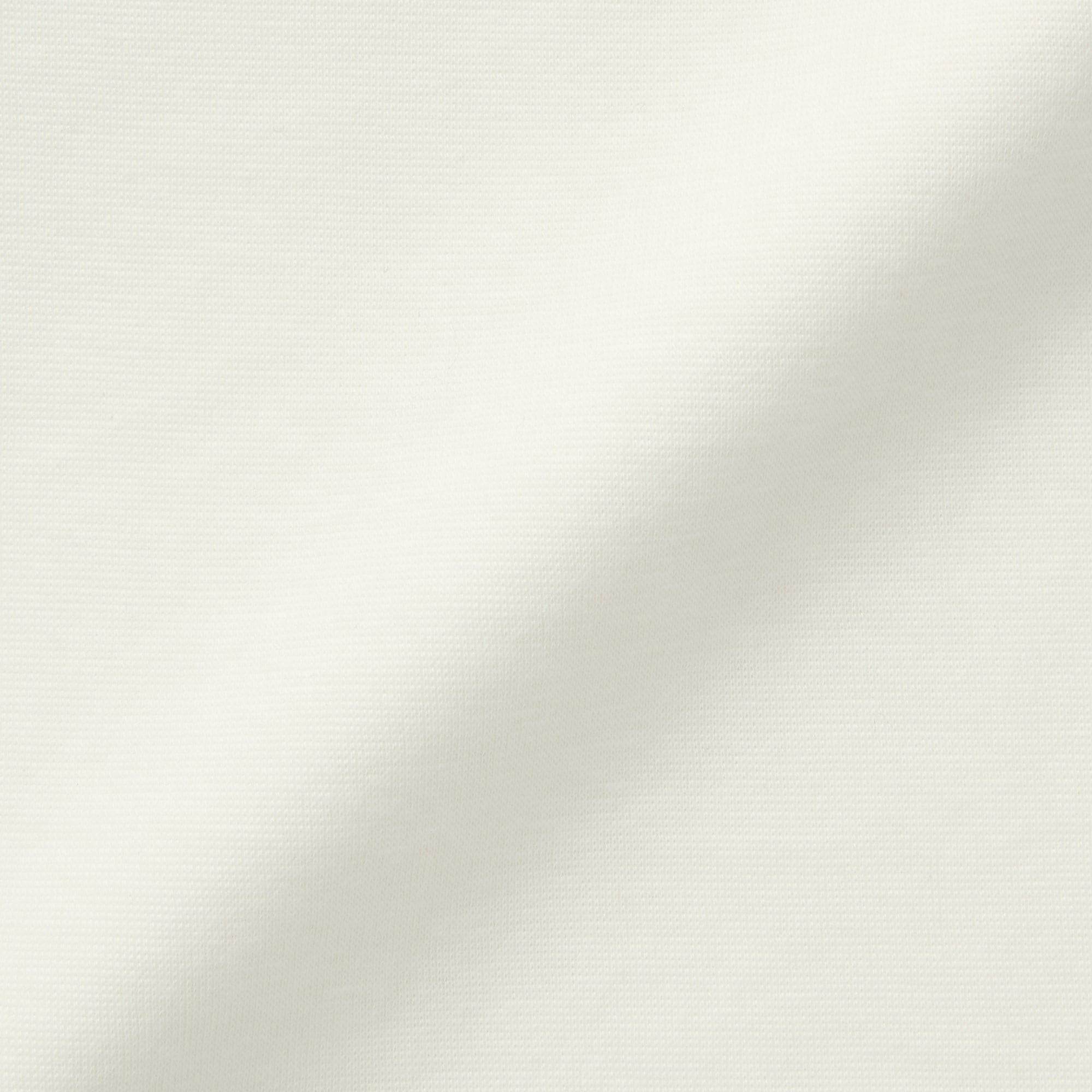 婦人　あったか綿　厚手　クルーネック長袖Ｔシャツ