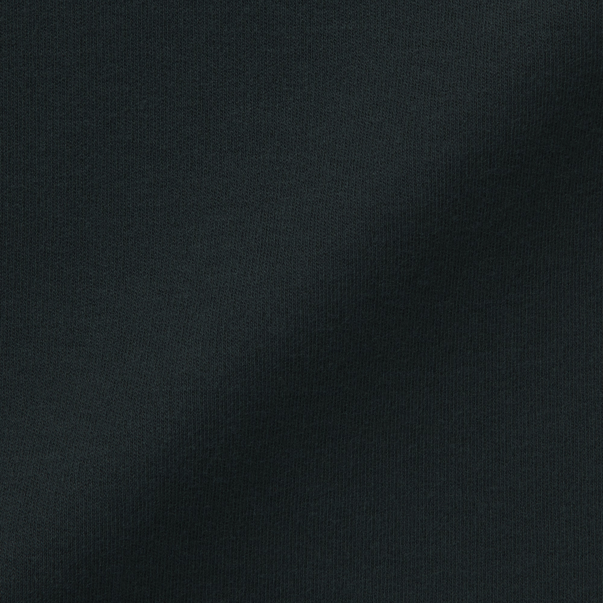 婦人　あったか綿　ウールタートルネック長袖Ｔシャツ