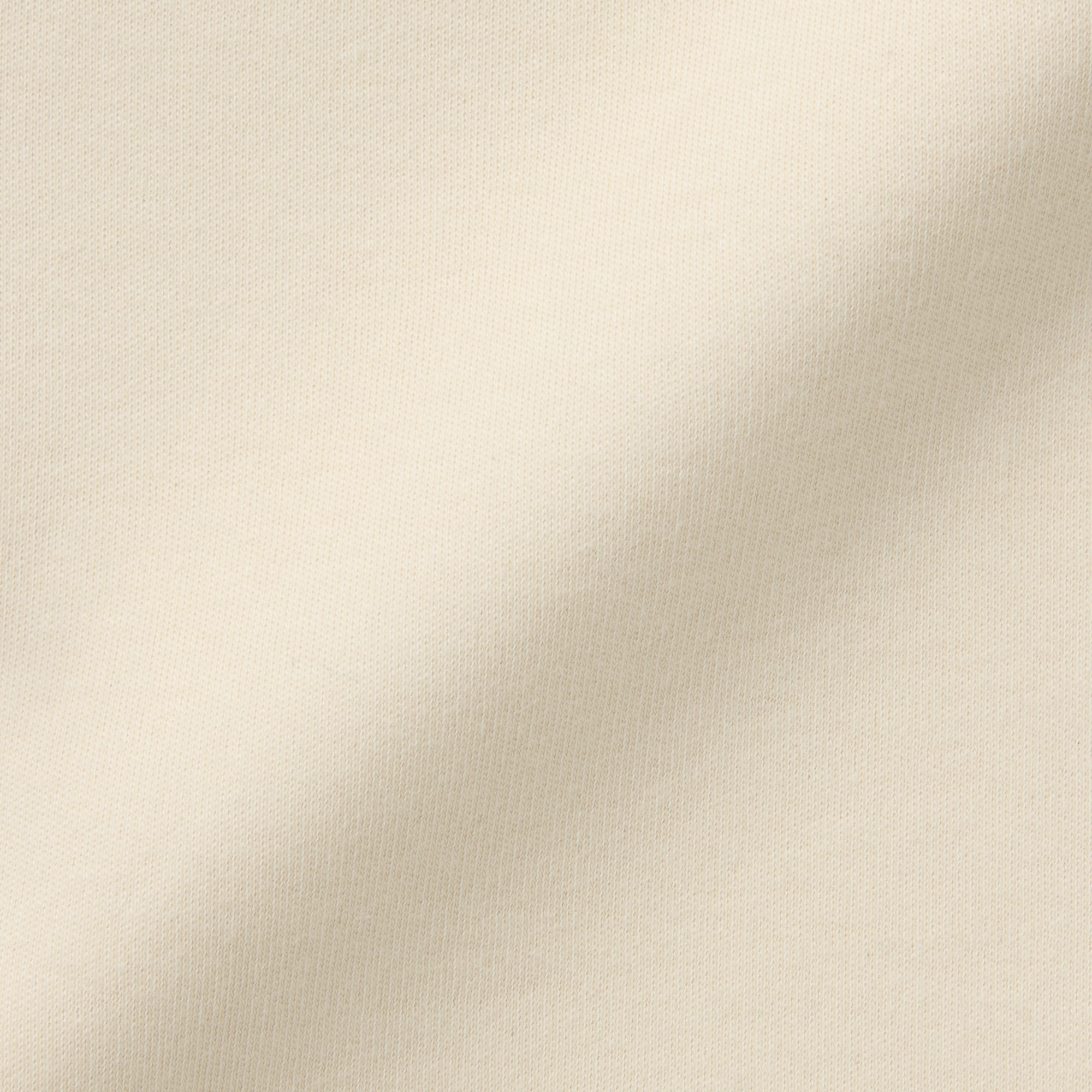 婦人　あったか綿　ウールタートルネック長袖Ｔシャツ