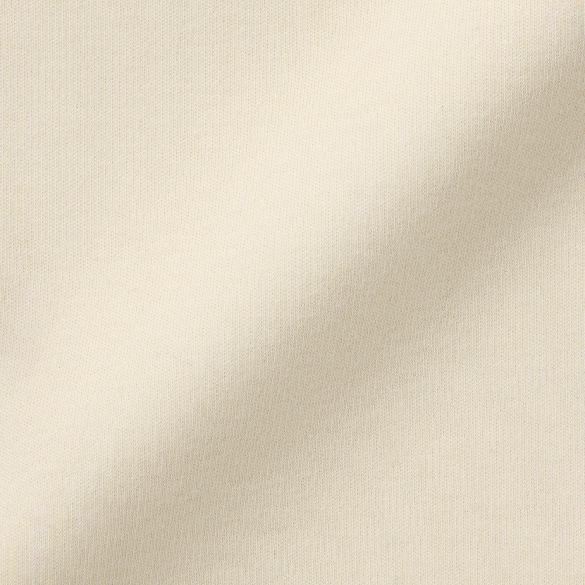 婦人　あったか綿　ウールタートルネック長袖Ｔシャツ