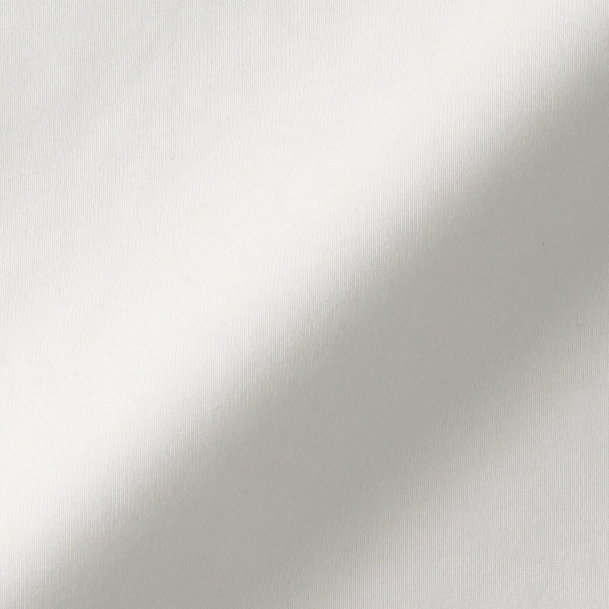 紳士　天竺編みクルーネック長袖Ｔシャツ