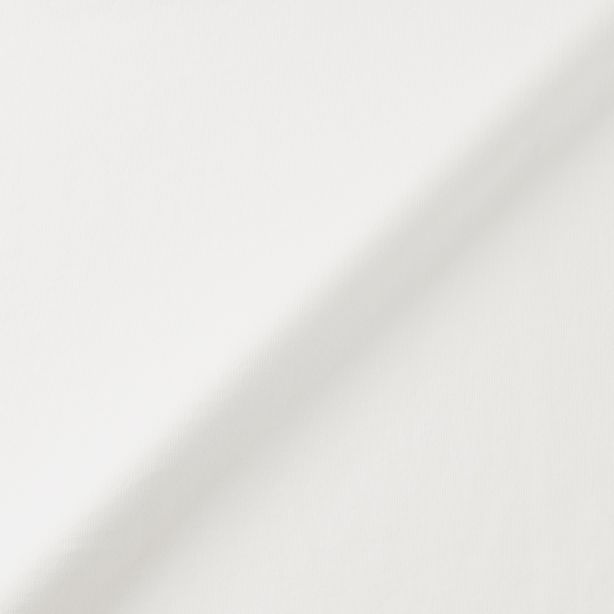 紳士　洗いざらし太番手クルーネック長袖Ｔシャツ