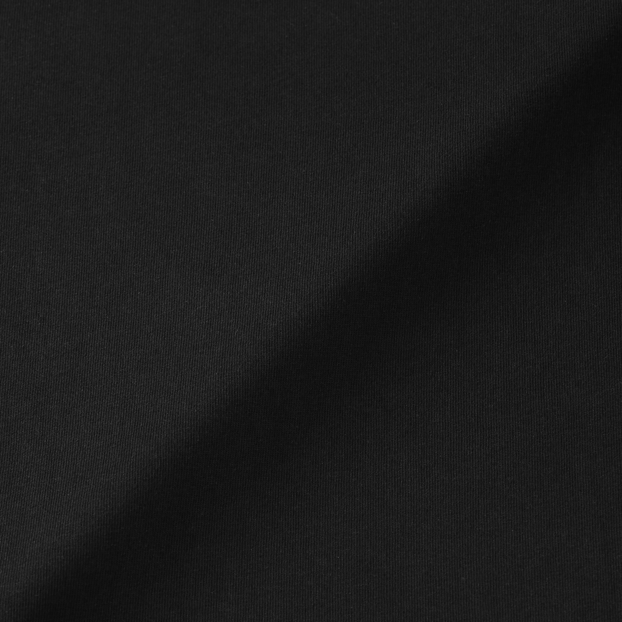 紳士　洗いざらし太番手クルーネック長袖Ｔシャツ