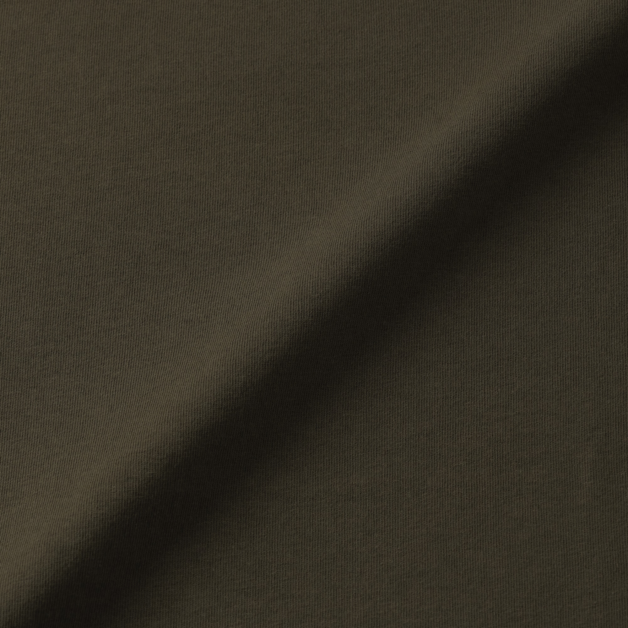 紳士　洗いざらし太番手クルーネック長袖Ｔシャツ