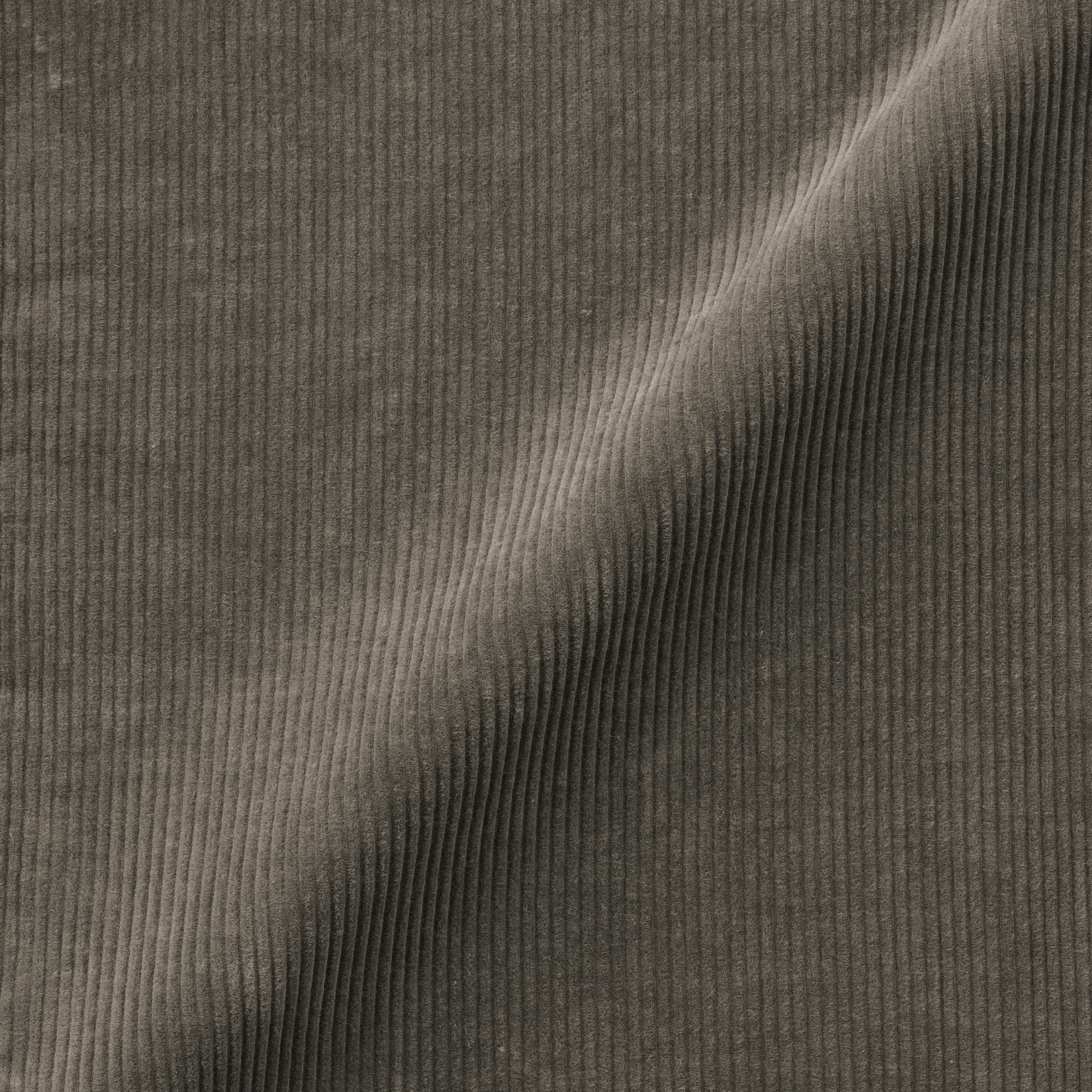 紳士　木の実から作ったカポック混コーデュロイジャケット