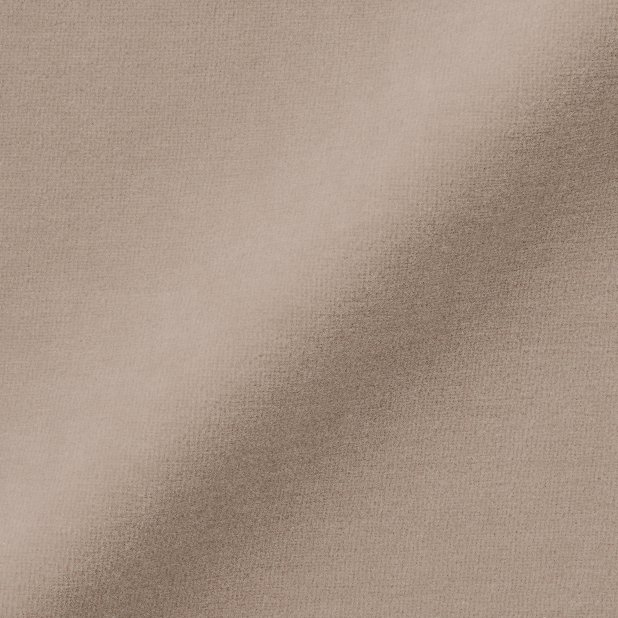 婦人　コットンベロアタンクトップ