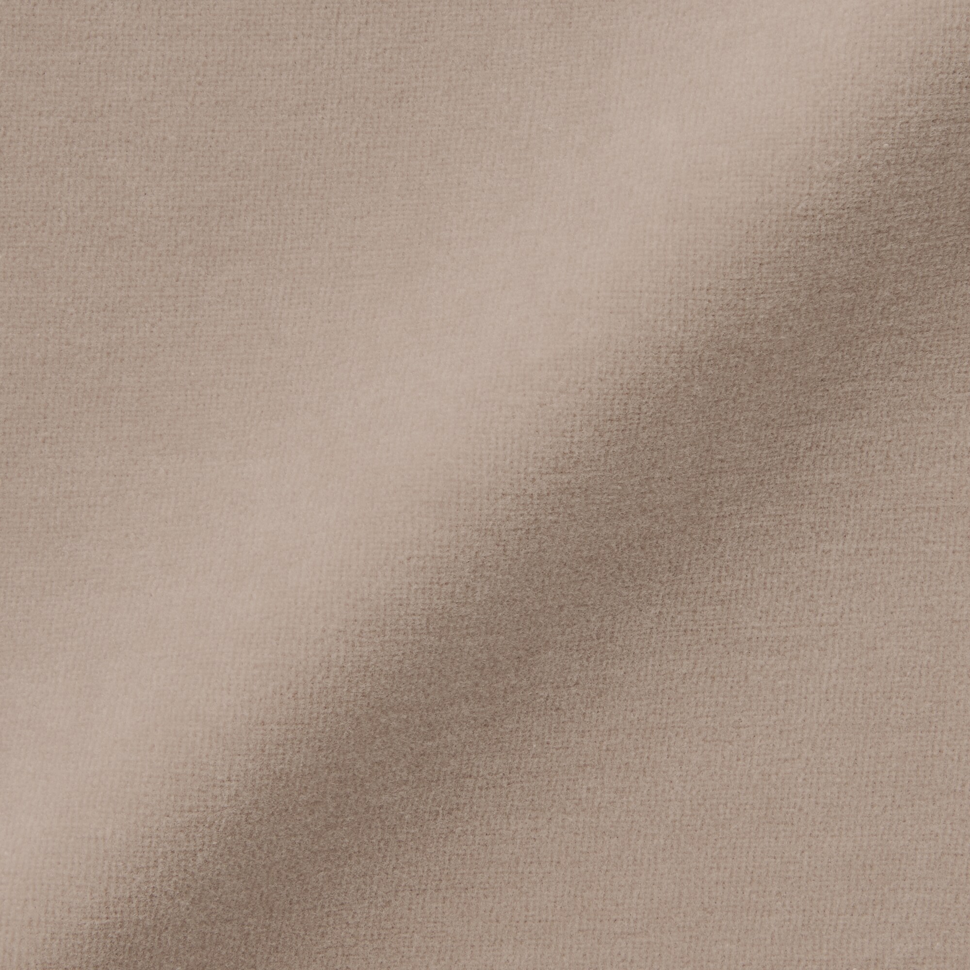 婦人　コットンベロアタンクトップ