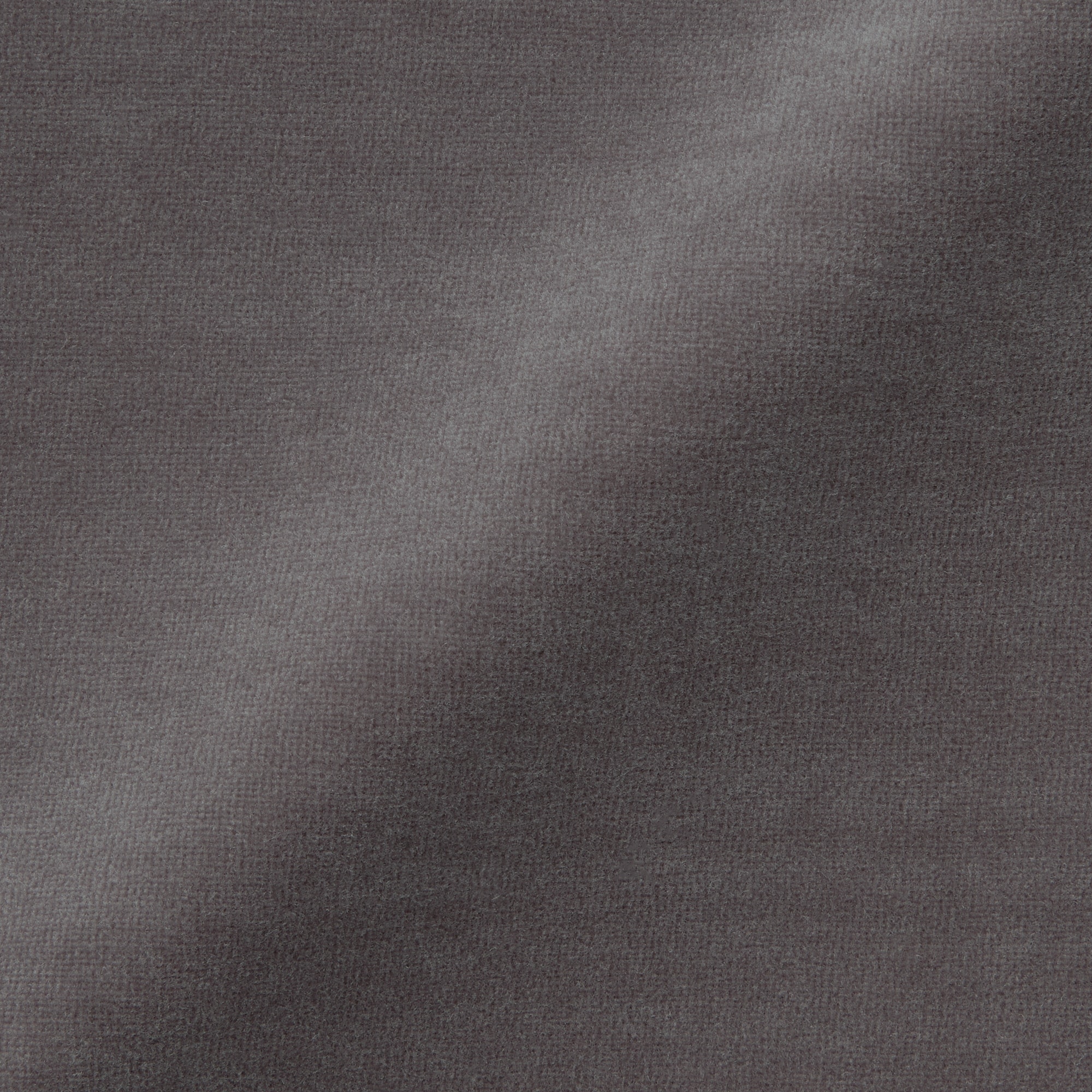 婦人　コットンベロア半袖Ｔシャツ