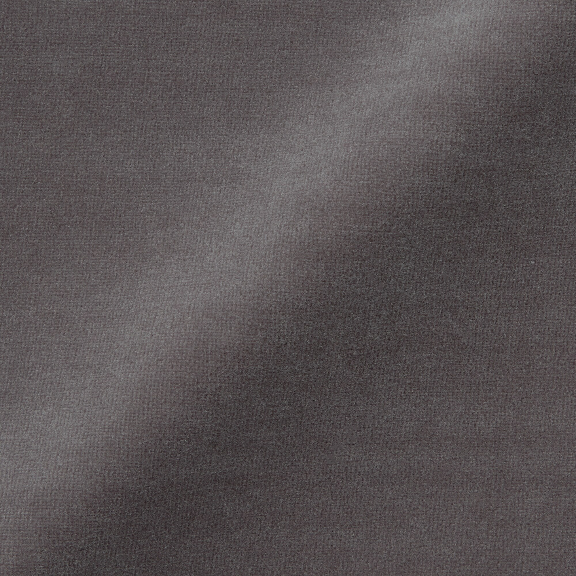 婦人　コットンベロア半袖Ｔシャツ