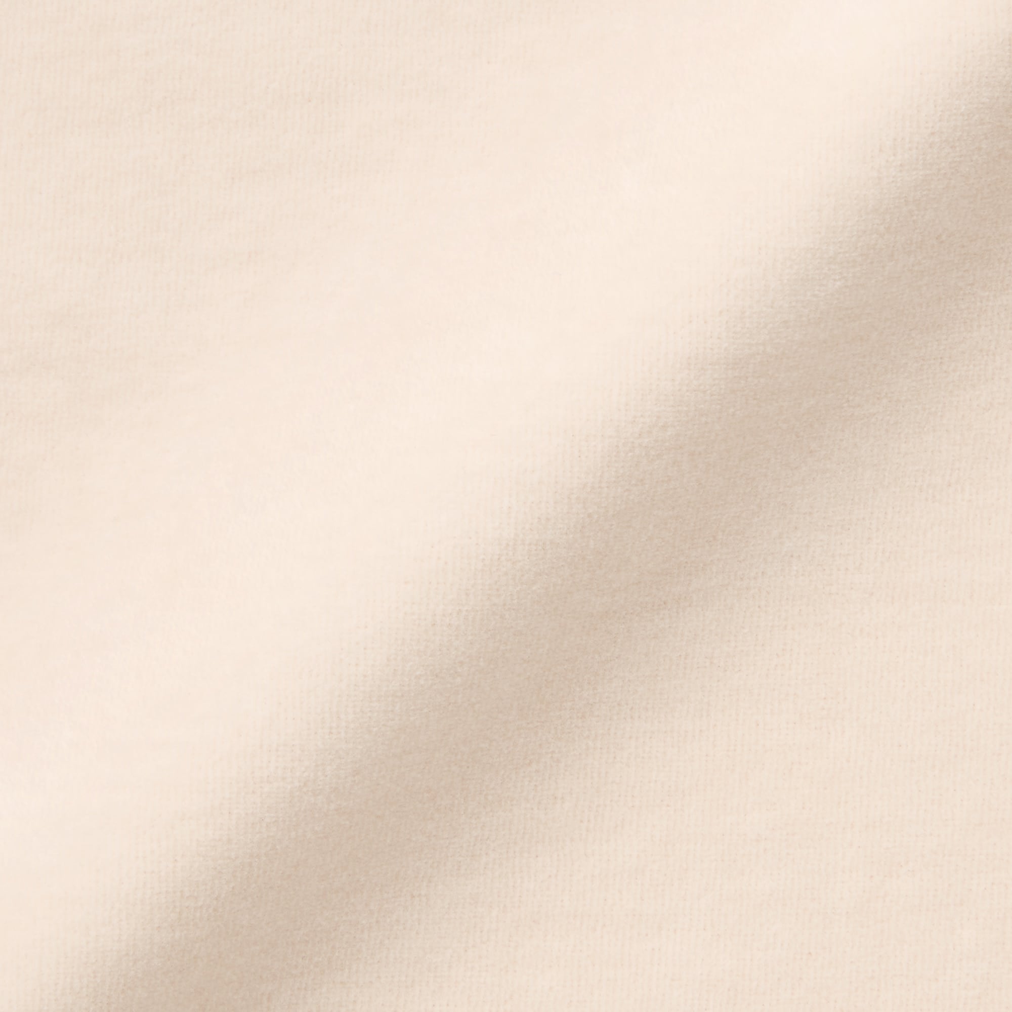 婦人　コットンベロア半袖Ｔシャツ