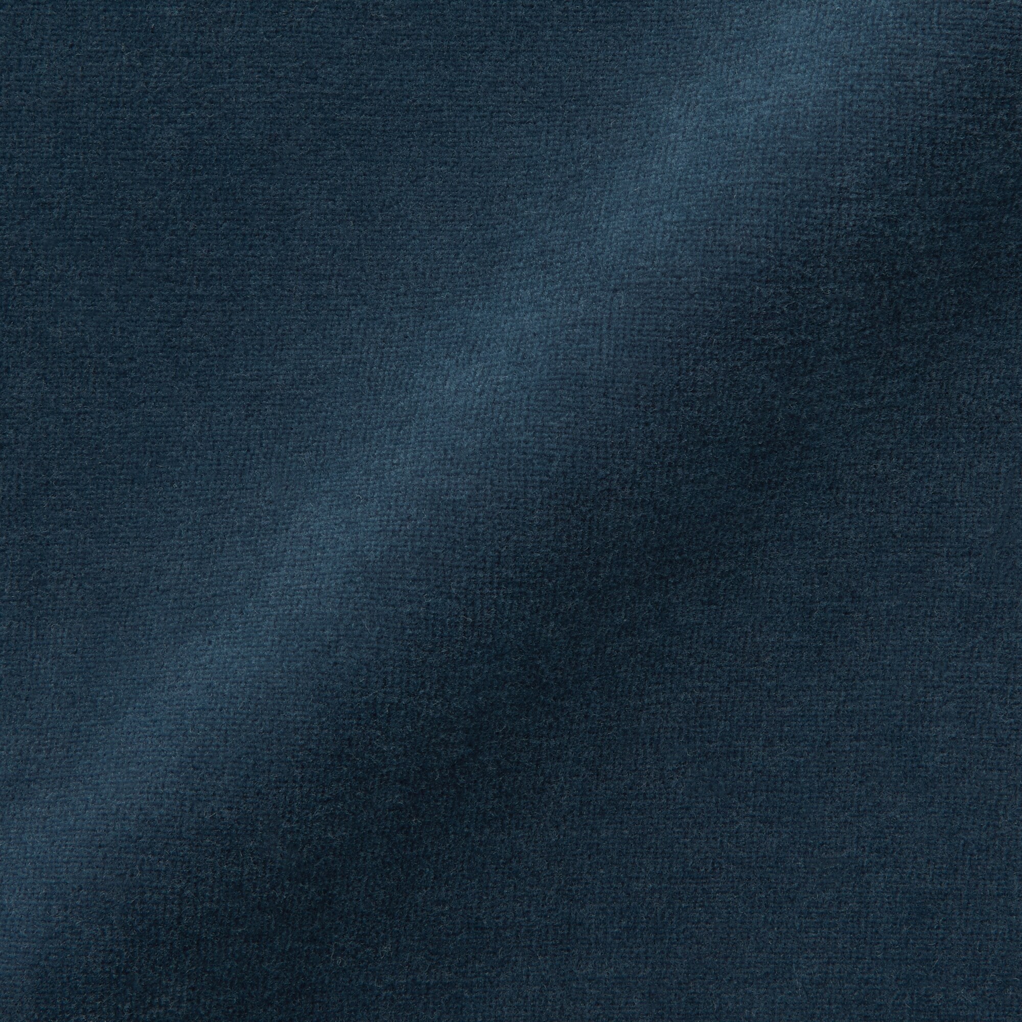 婦人　コットンベロア半袖Ｔシャツ