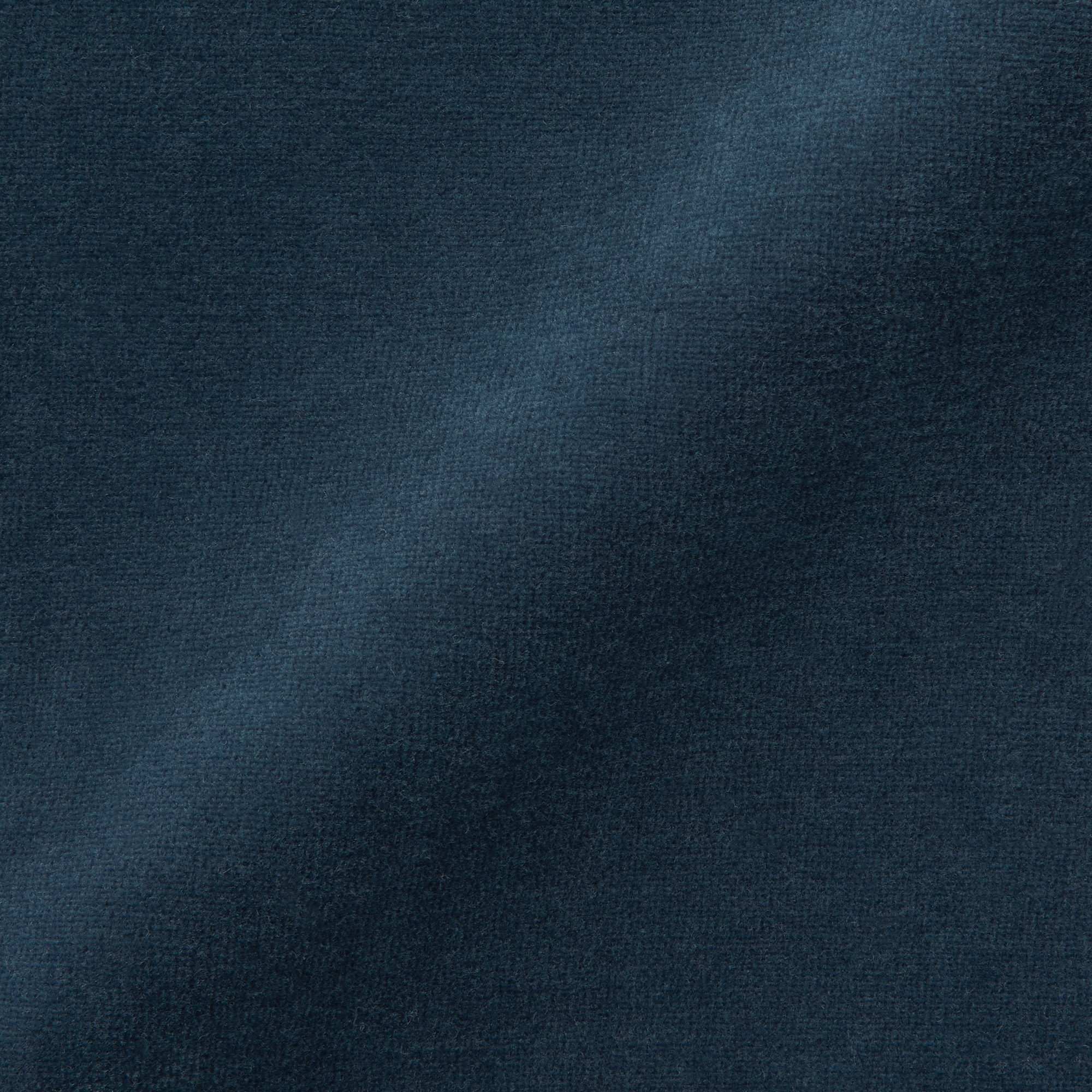 婦人　コットンベロア半袖Ｔシャツ