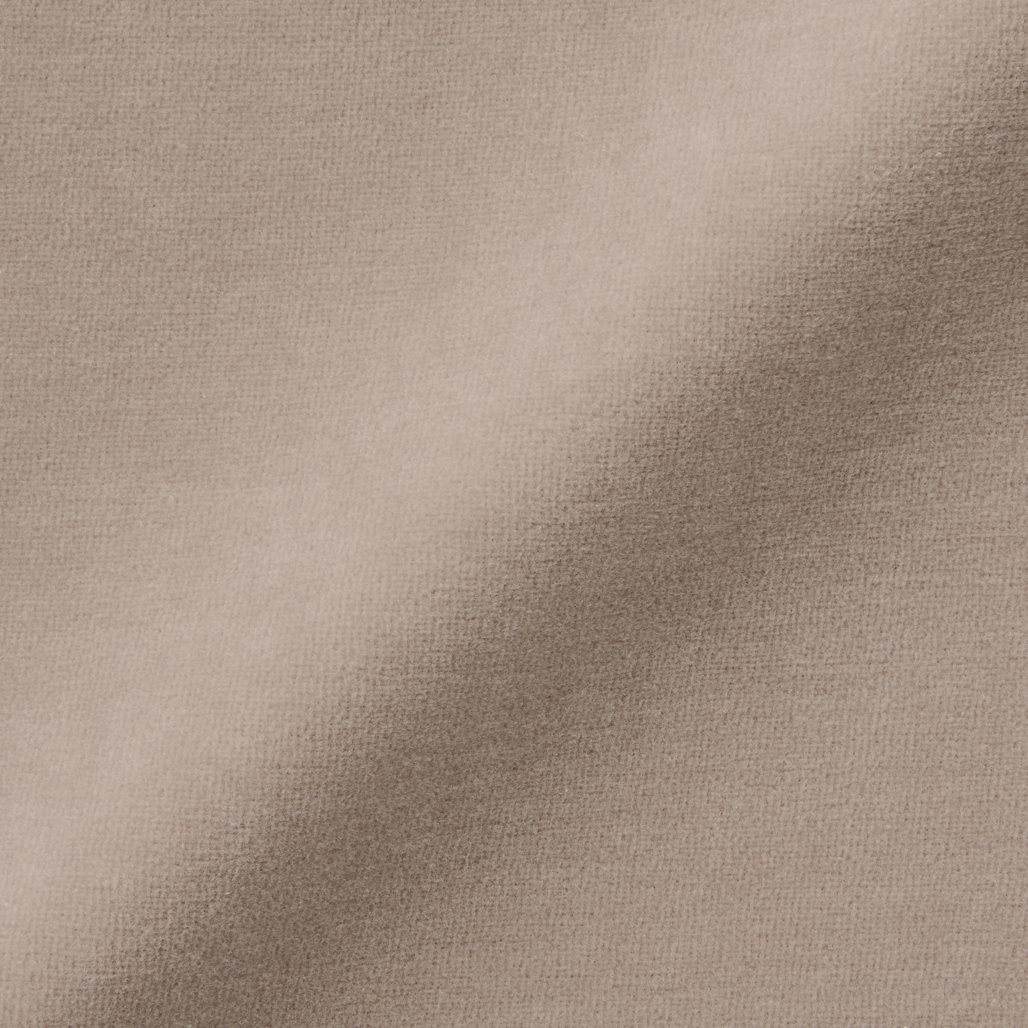 婦人　コットンベロア半袖Ｔシャツ