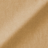 婦人　両面起毛フランネルレギュラーカラー長袖シャツ