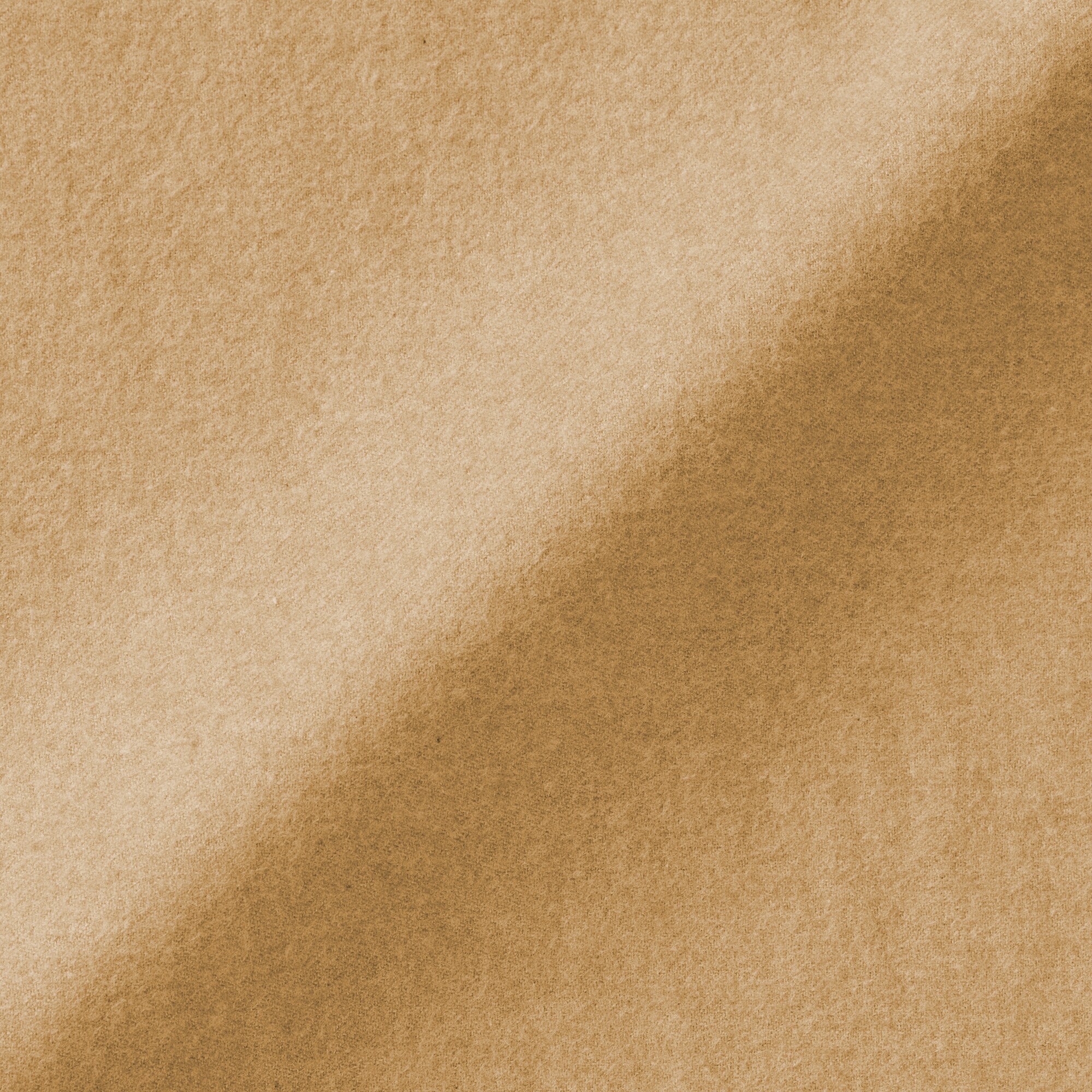 婦人　両面起毛フランネルレギュラーカラー長袖シャツ