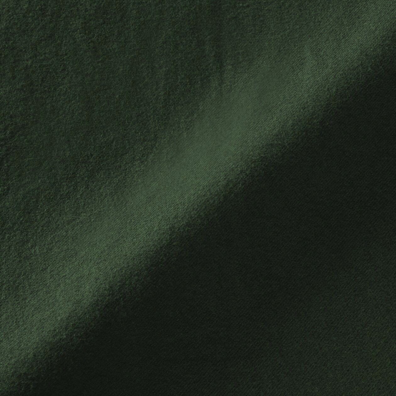 婦人　両面起毛フランネルスタンドカラー長袖ブラウス