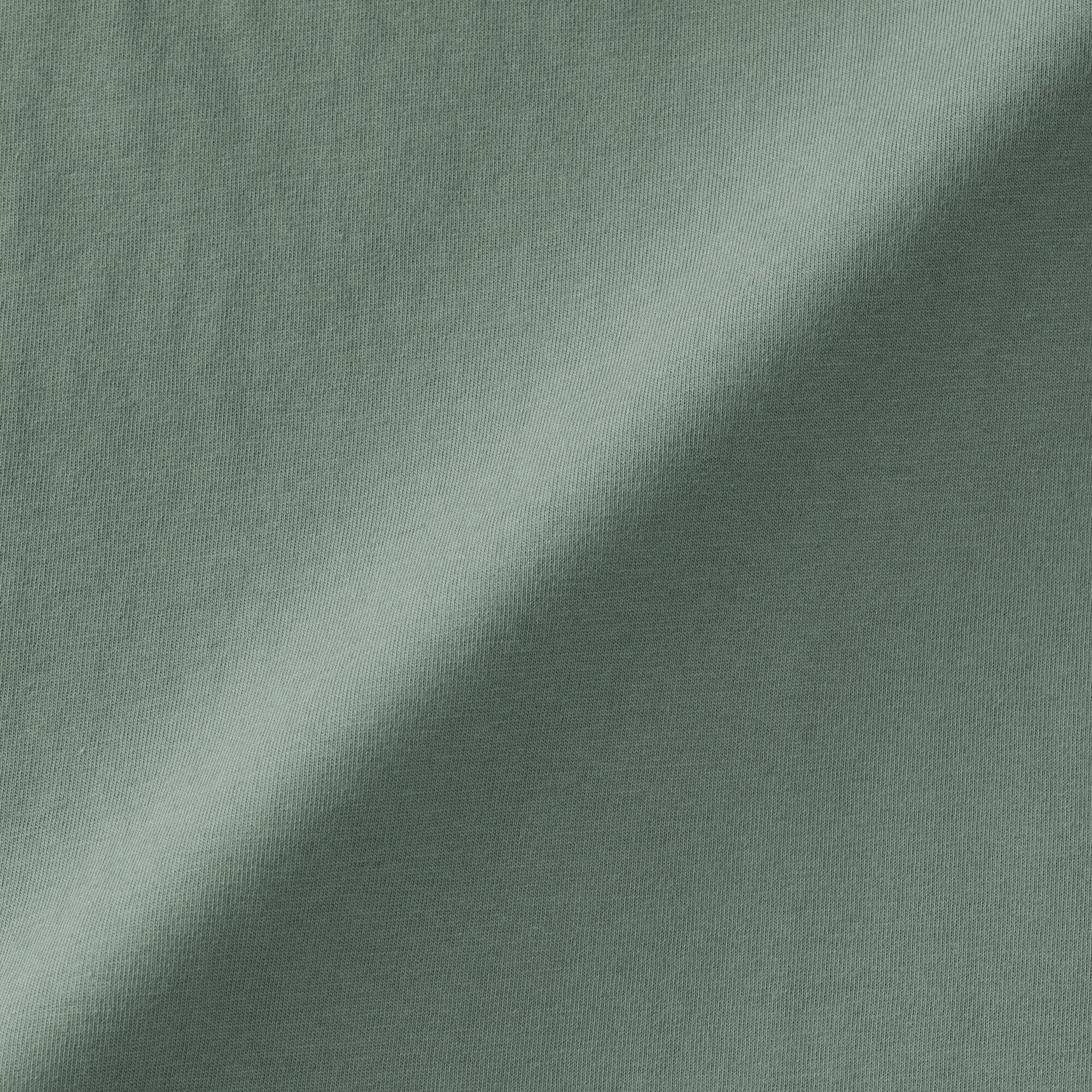 婦人　天竺編みフレンチスリーブＴシャツ