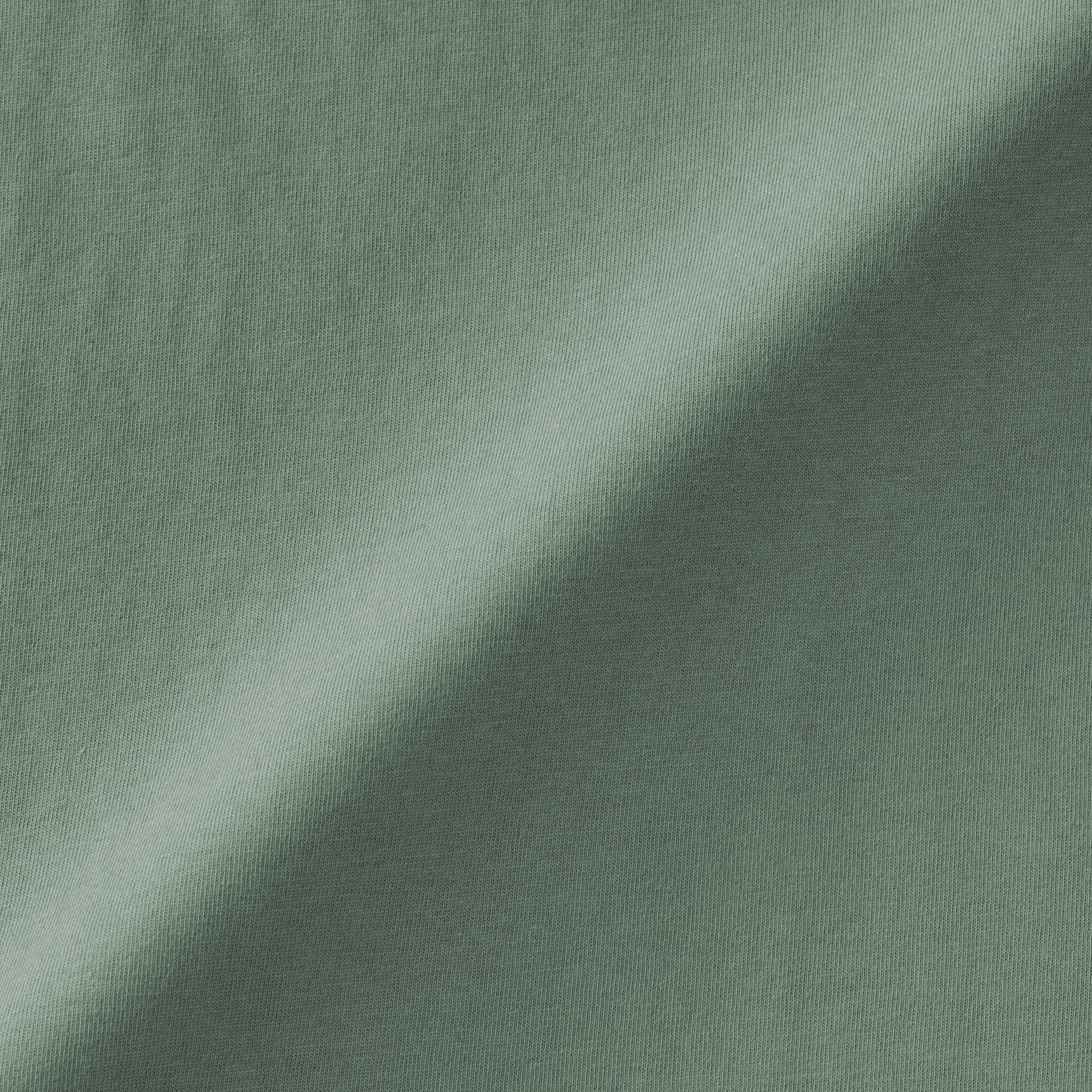 婦人　天竺編みフレンチスリーブＴシャツ