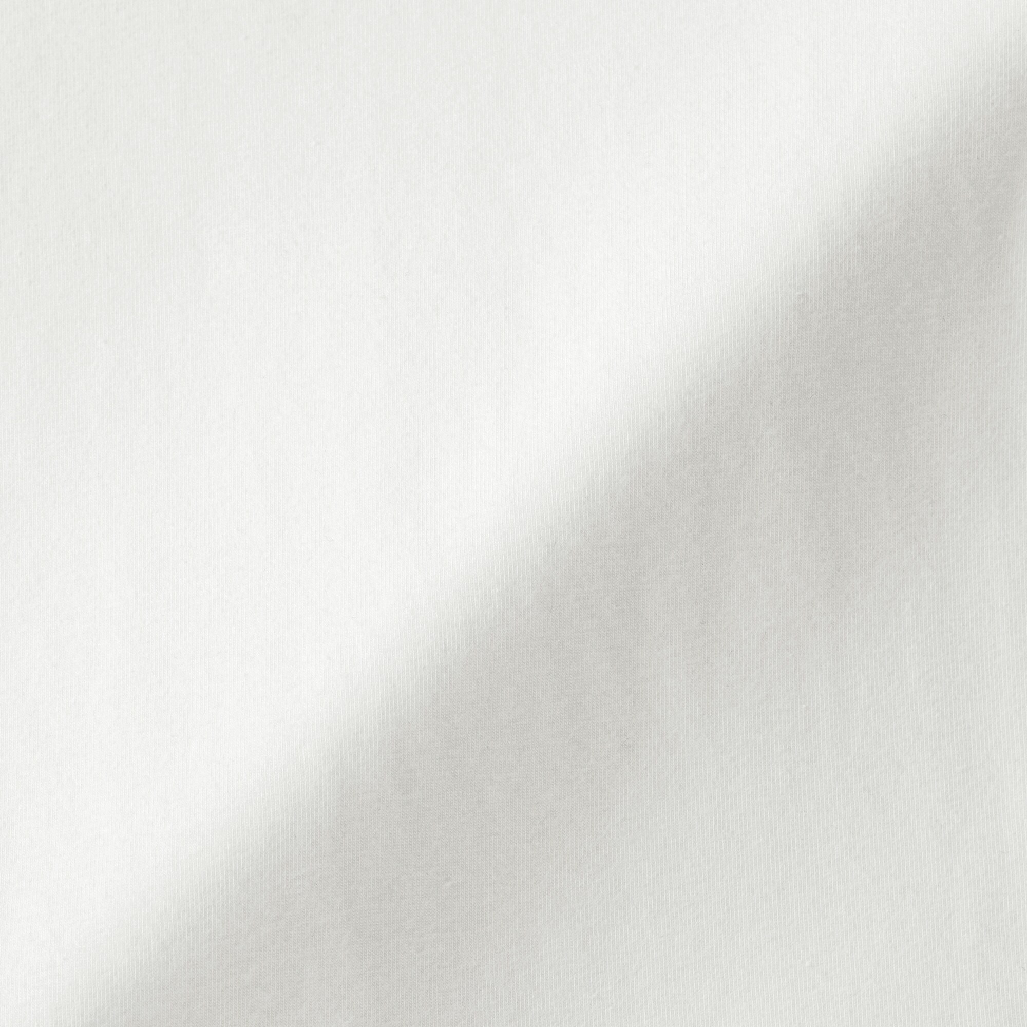 婦人　起毛フライス編みクルーネック長袖Ｔシャツ