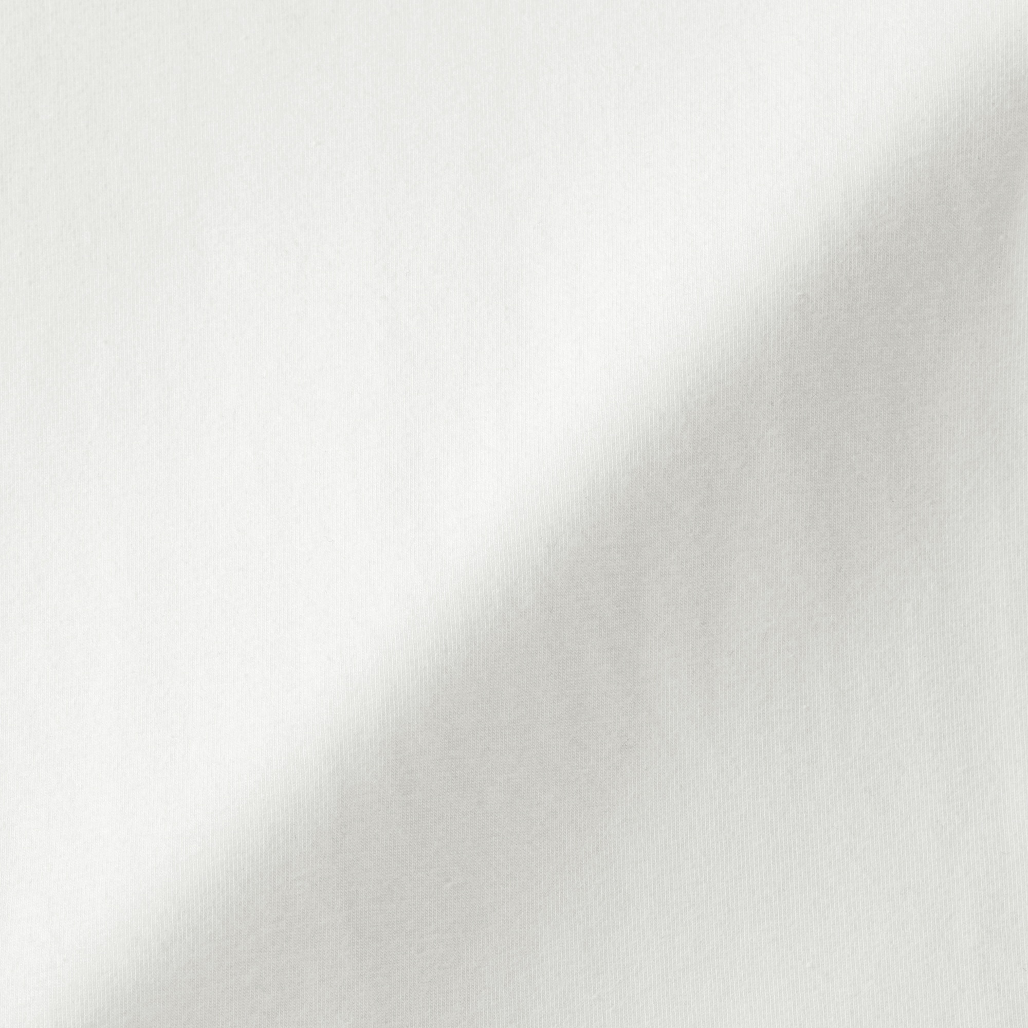 婦人　起毛フライス編みクルーネック長袖Ｔシャツ